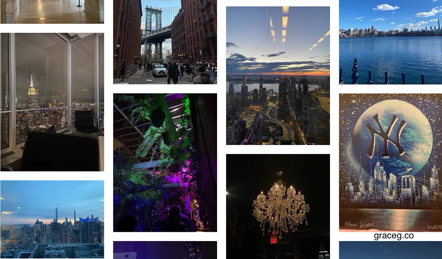 Times Square, Manhattan bridge view, Central park, Peter&rsquo;s artwork art4city.com